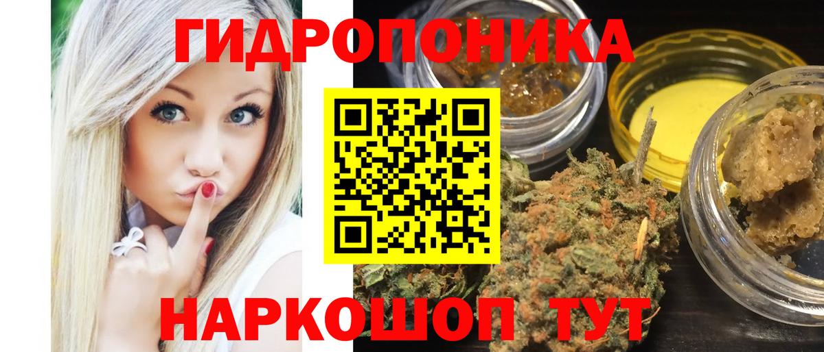 Конопля AK-47  Шишки марихуана SATIVA & INDICA  Кингисепп  Вход с VPN 